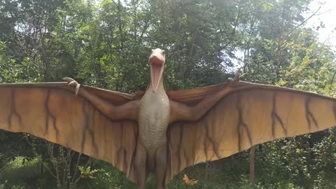 This dinosaur can fly