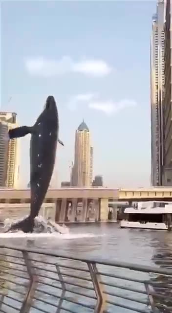 meanwhile in Dubai
