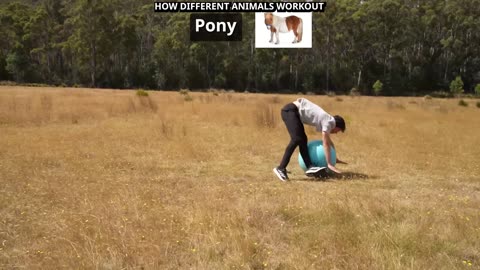 Best Funny Videos Compilation