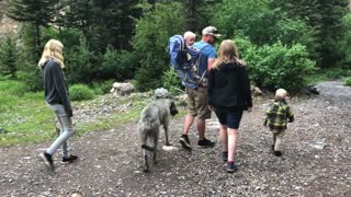 Dogs, Kids and Water Features . . . The Best!