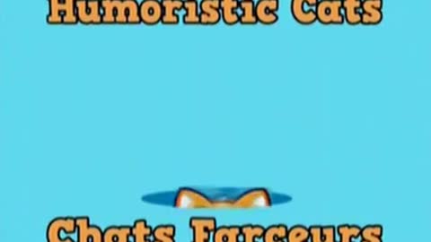 Humoristic Cats 😹 Chats Farceurs - n°300