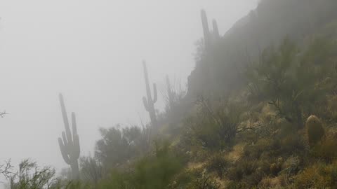 Low Cloud & A Strong Breeze On The Mountain