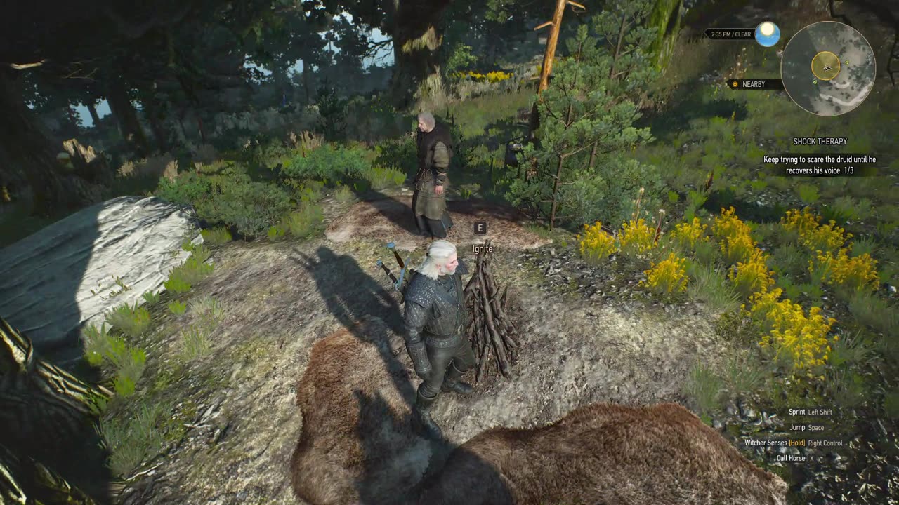 The Witcher 3 shock therapy