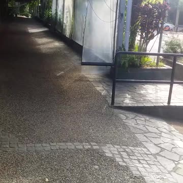 27.9.2024 Welcome to Kuranda (3)