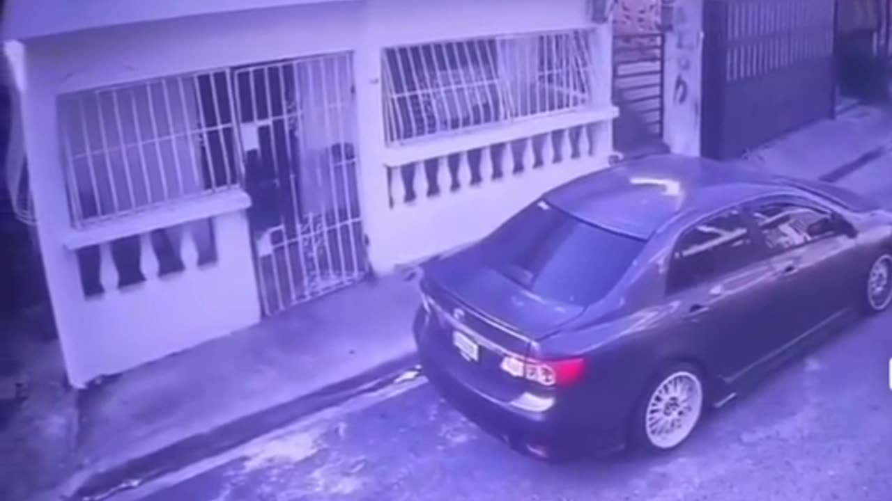 EL POLLO SALIO MÁS BRAVO🤬💪💪 QUE SU LADRÓN O RACTOR 🤣🤣🤣