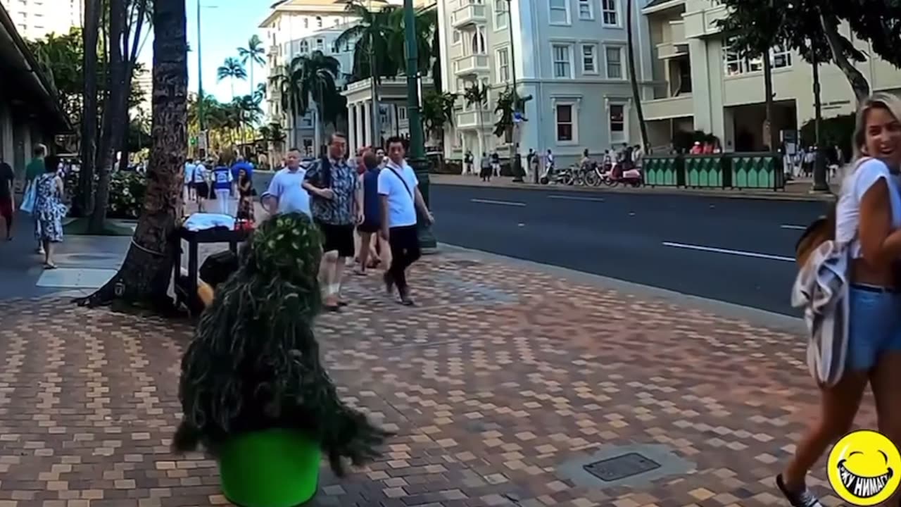 A Compilation of Bushman Pranks!