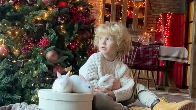 Cute boy with rabbits