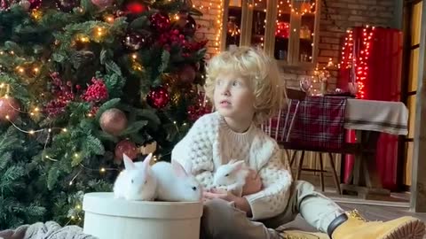 Cute boy with rabbits