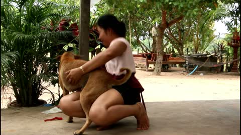 Girl Play With dog Very Cute Dog funny koka