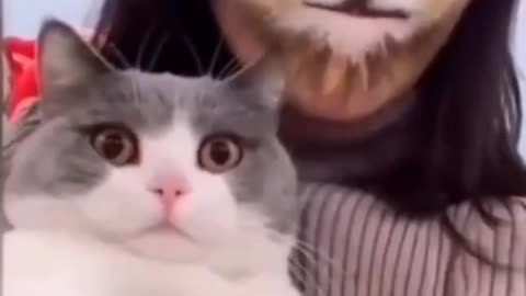 cats super cute and funny reaction