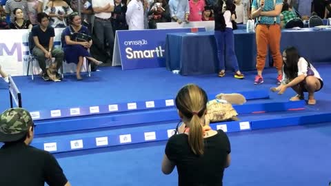 An exciting race