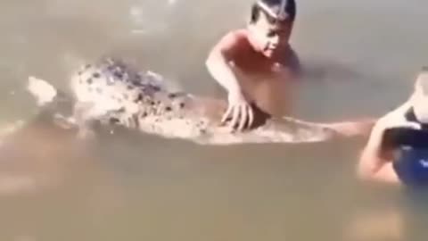 Cute and adorable animal behavior makes anyone happy to see it