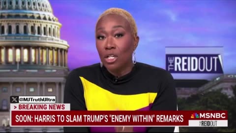 Joy Reid Goes On ABSURD Rant About Trump Marching Non-White Immigrants Into Camps