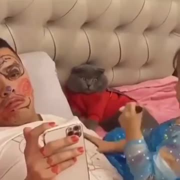 The Cat reaction is worth watching 😂