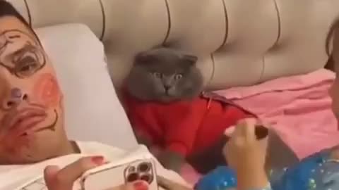 The Cat reaction is worth watching 😂