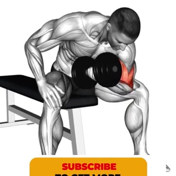 Split Day Biceps and Back Workout Shorts #bicepsworkout #backexercise #fitnessshorts #shorts