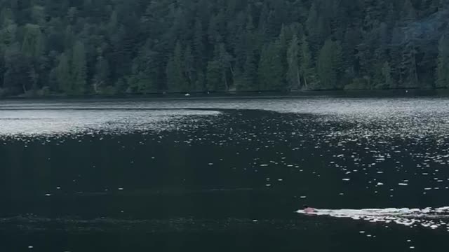 Guy surfboard lake paddling