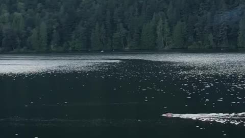 Guy surfboard lake paddling