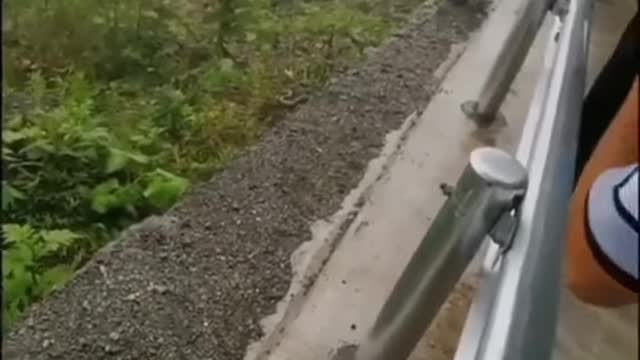 The worm road turned out to be