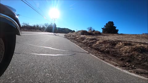 A quail bounces off of my helmet