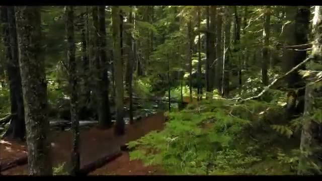 Música Relaxante para dormir, profumdo