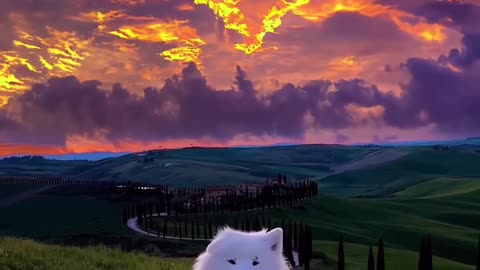 Do you also like the sunset, such a cute little one.