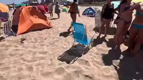 Amazing beach 🏖 view
