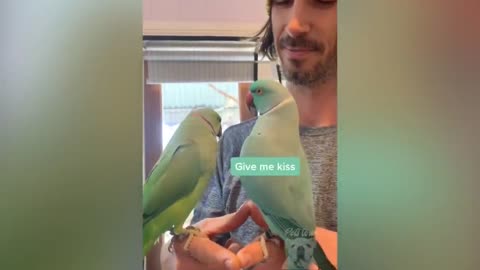 Watch cute parrots do the funniest things