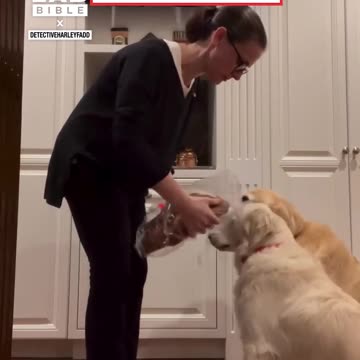 Peanut Detection Dog Checks That Food Is Safe For Daughter ❤️