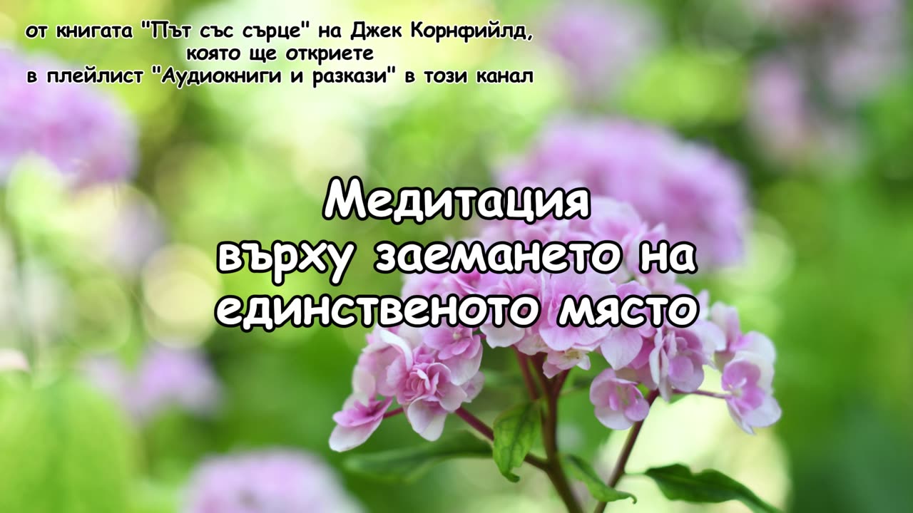 Медитация върху заемането на единственото място (от книгата "Път със сърце" на Джек Корнфийлд)