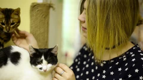 Asian woman girl stroking touches cats