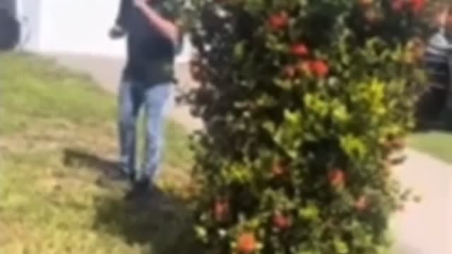 Neighbour threatens Landscaper with his gun