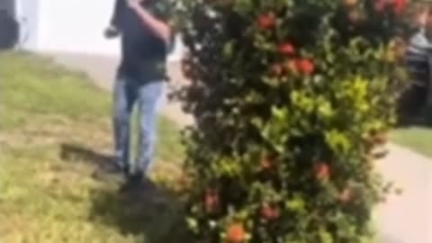 Neighbour threatens Landscaper with his gun