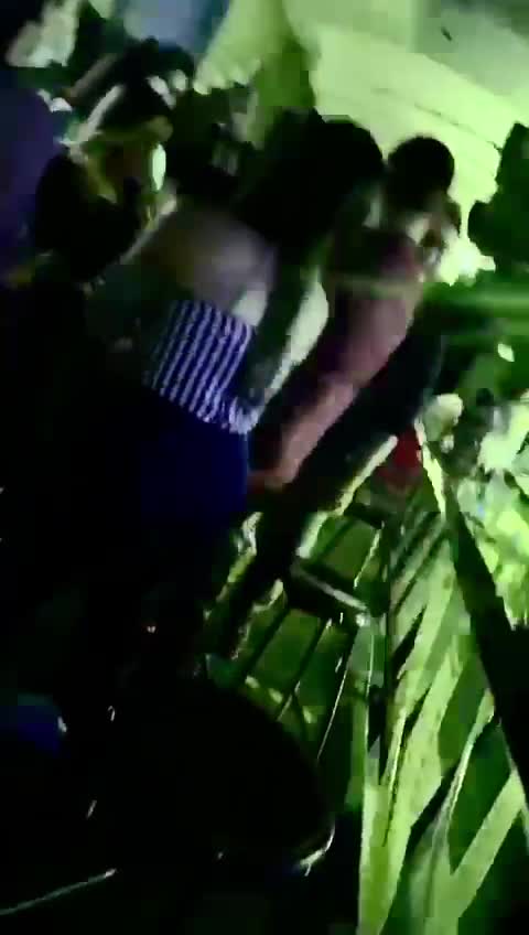 Rumba funcionarios de la Alcaldía en plena pandemia