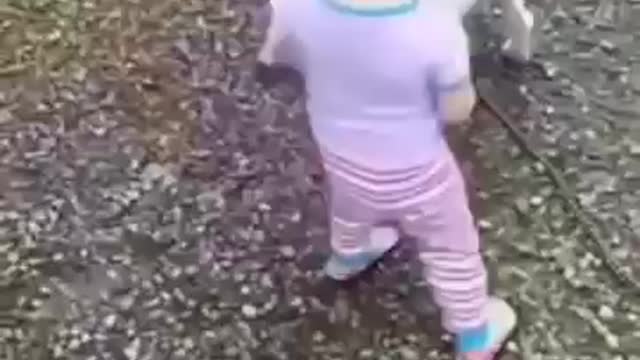 Baby vs Dog