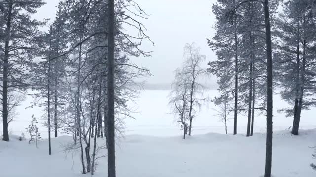 BRABUS Continental Winter Event