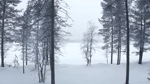 BRABUS Continental Winter Event