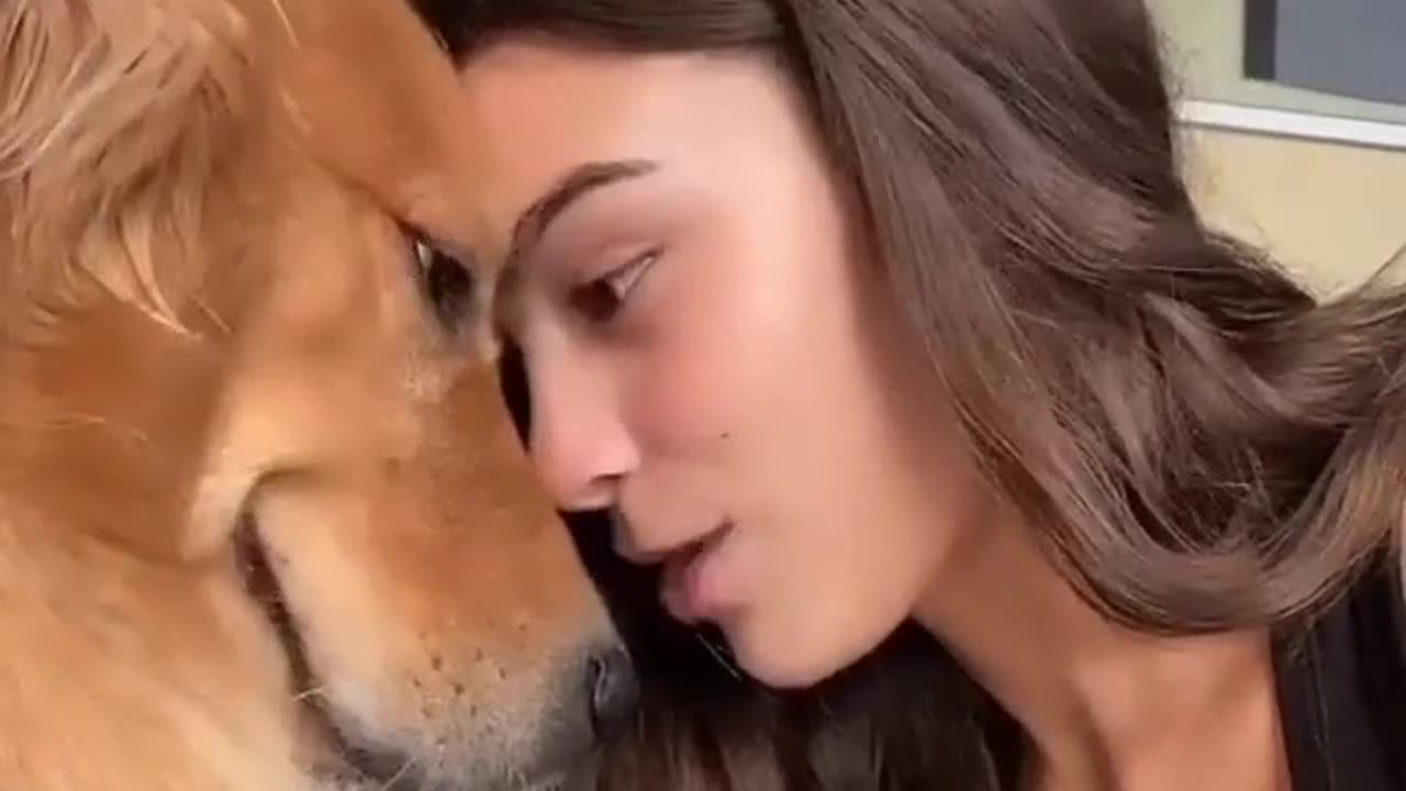 The dog smiles whenever her owner spends time with her || MikaKalafe