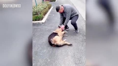 Former Police Dog 'Cries' After Reuniting With Handler She Hasn't Seen For Years