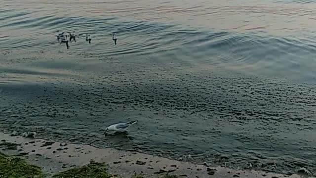 The evening sea is beautiful