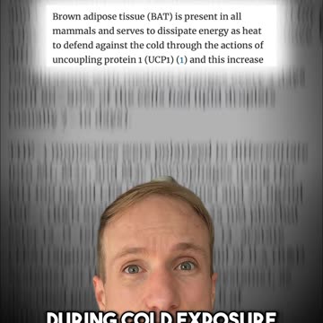 Cold plunging might be making you fat!