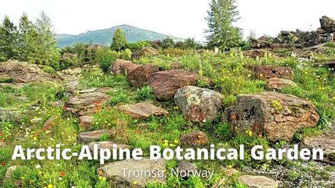 CM infographics Botanical Gardens