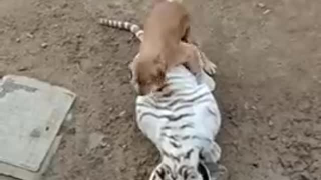 Funny baby