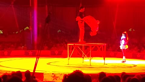 Bombay Circus INDIA