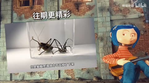 把200只蚊子的幼虫和蜻蜓幼虫关一起！会发生什么事？
