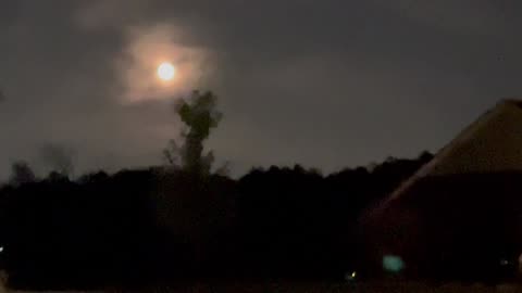 August 2, 2024 - A Gorgeous Moon Seen on My Tuesday Night Walk