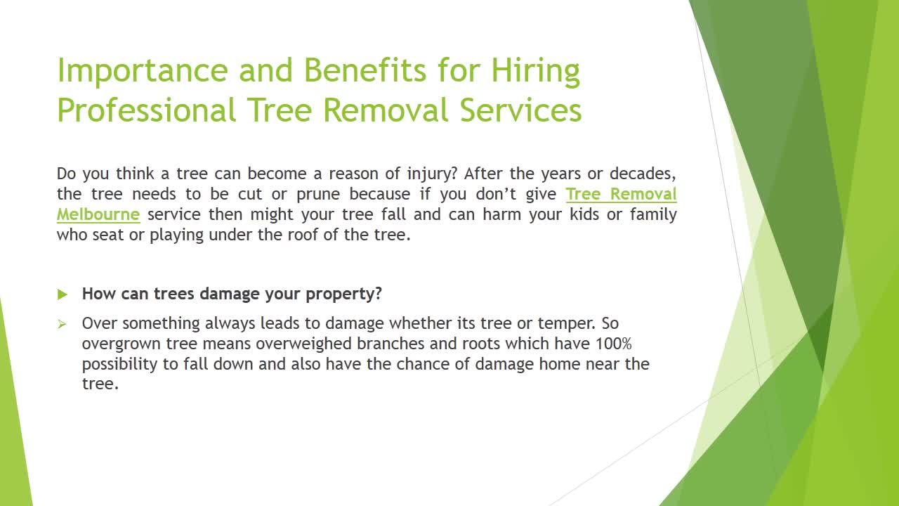 Importance and Benefits for Hiring Professional Tree Removal Services - PcTrees Services