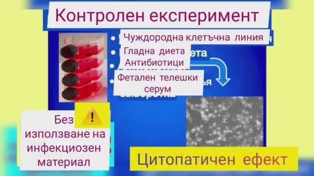 Няма вируси. Това са фактите.