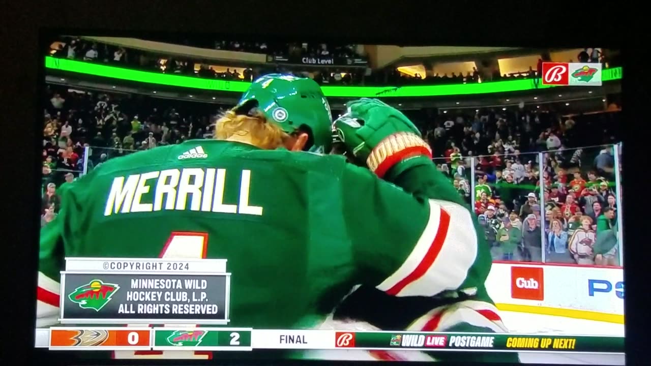 ANA vs MIN - Wild Win 2-0