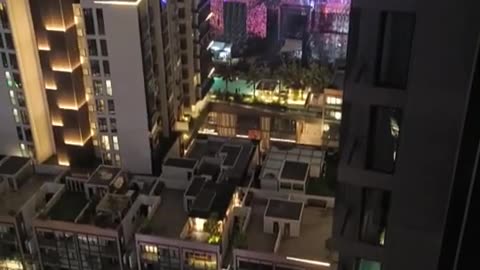 fatty demon pig - 2024 - October 19th